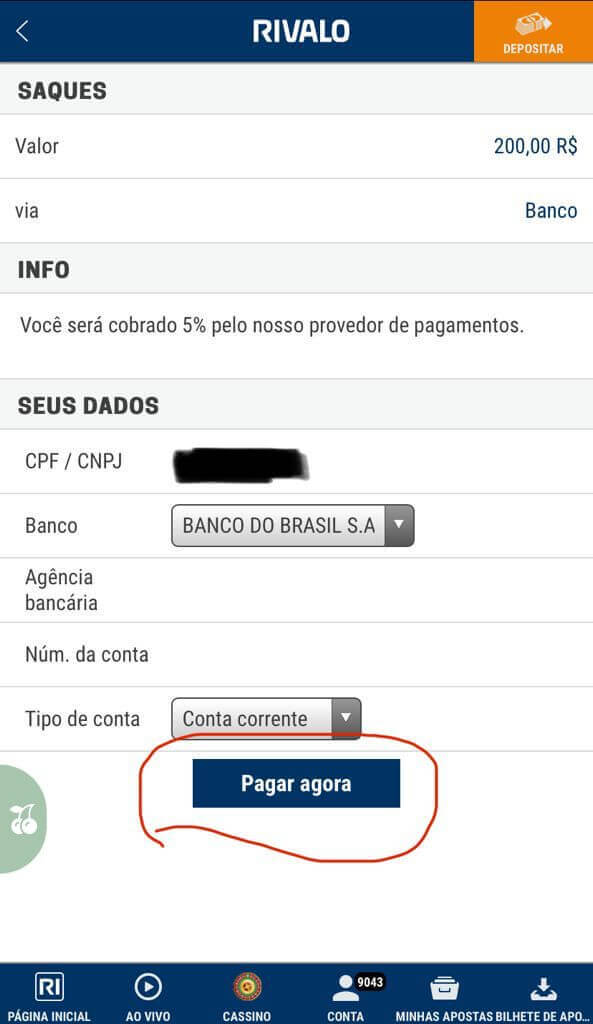 brasileirao online