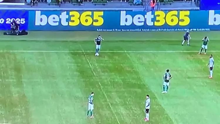 Bet365, a Gigante Global das Apostas, Estreia com Força no Brasileirão 2025